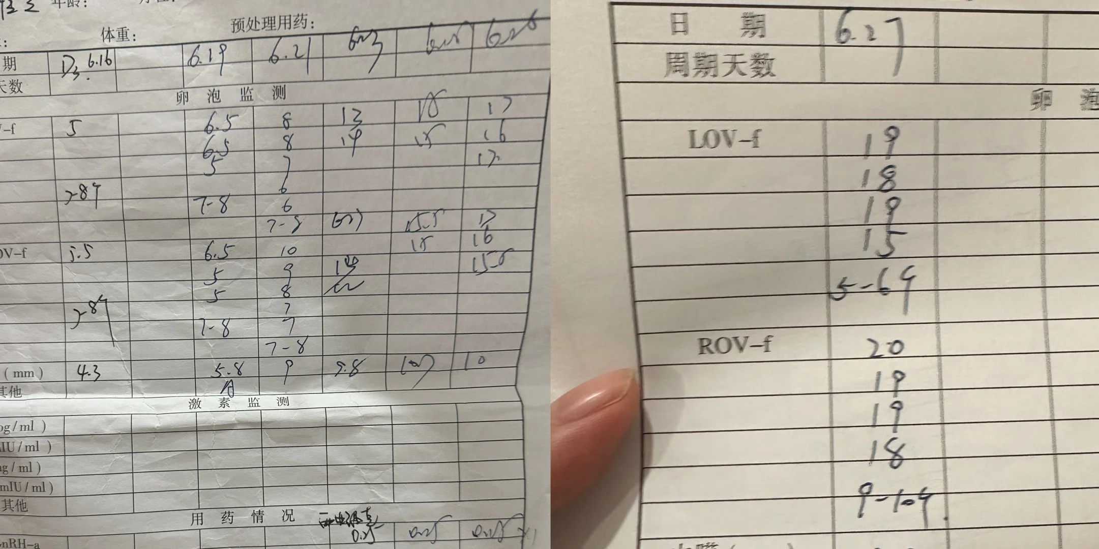 供卵试管婴儿价格构成解析：医疗+生活开销全透明