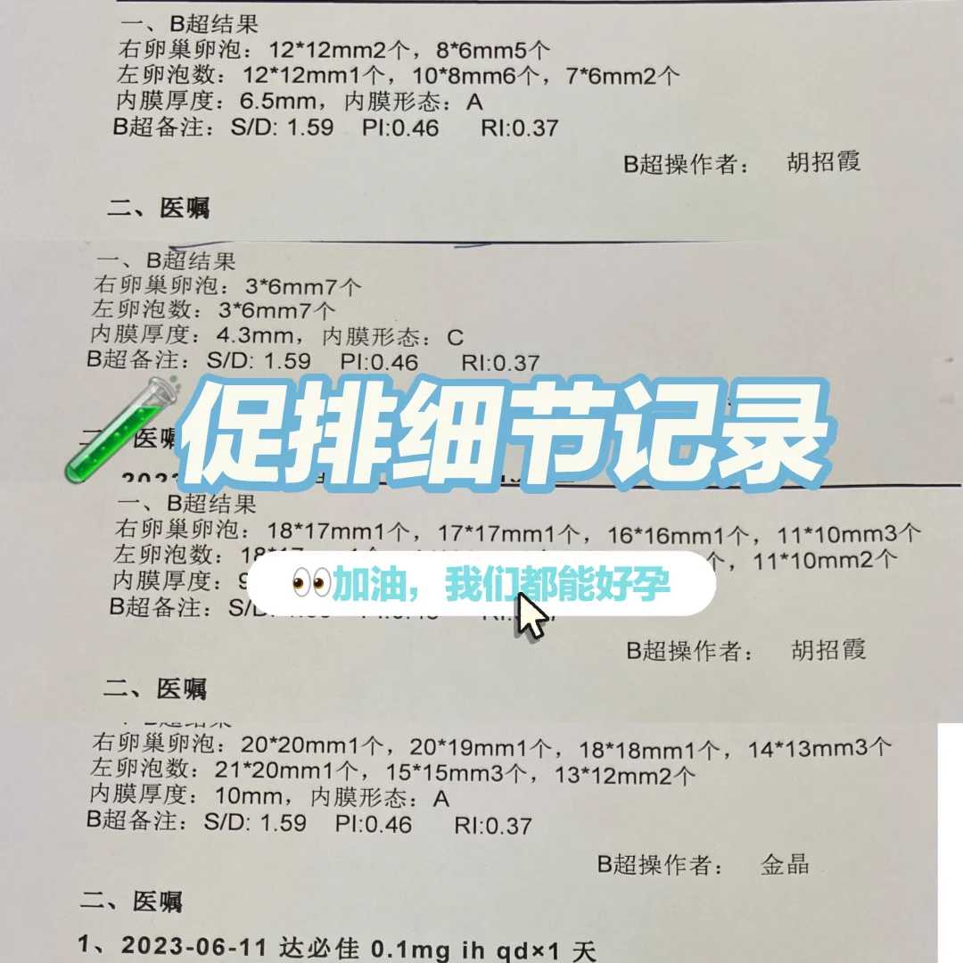 如何评估供卵成功率？专业医生的建议来了