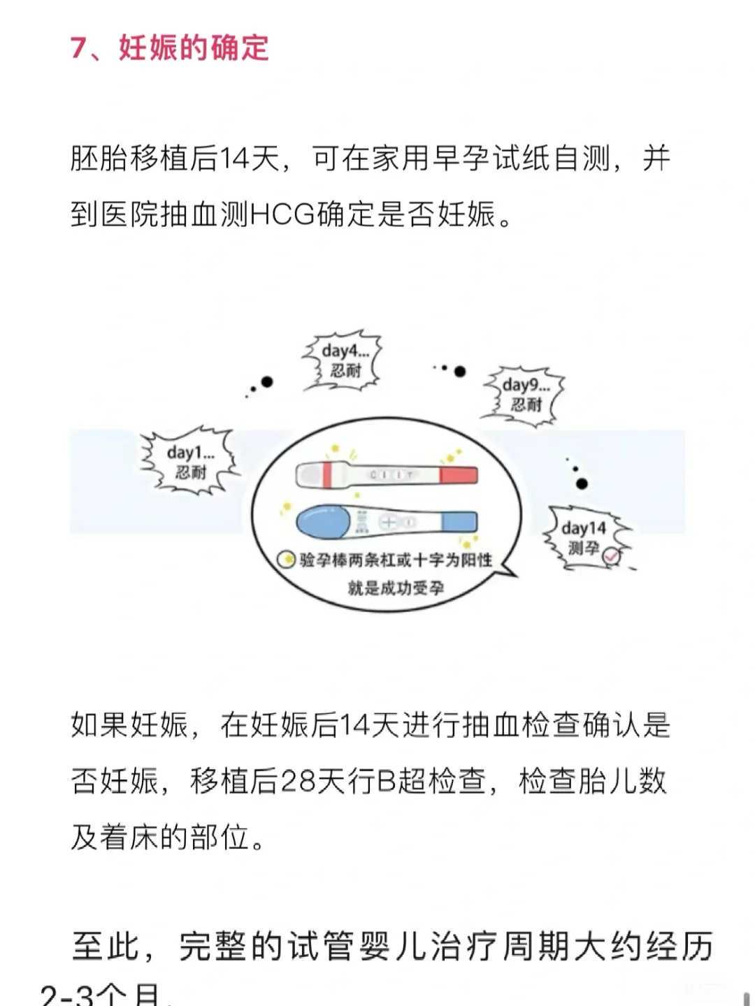 供卵价格计算器：输入条件即可预估你的花费